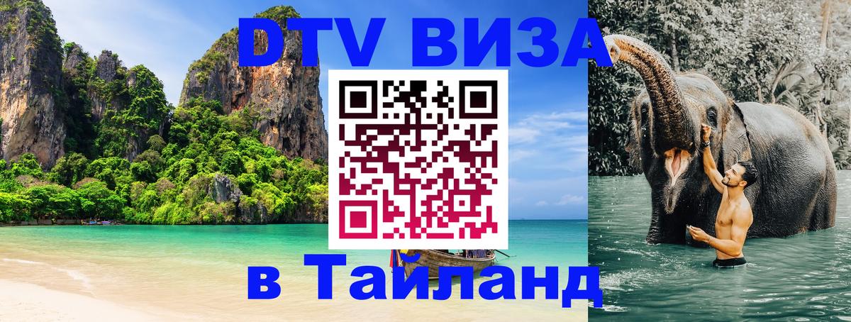 DTV Visa Thailand — прайс и условия, виза без дополнительных документов - Домодедово  08.01.2026 